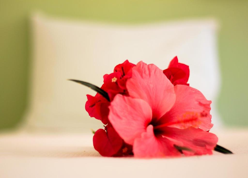 Pousada Maracaipe Pôrto das Galinhas 部屋 写真